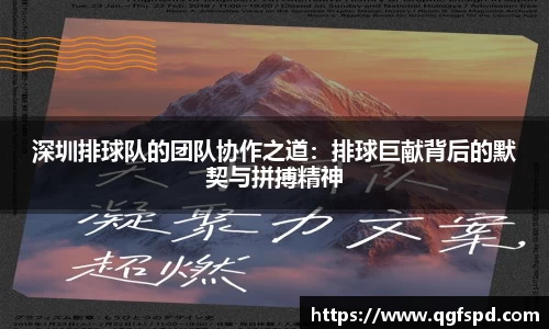 深圳排球队的团队协作之道:排球巨献背后的默契与拼搏精神